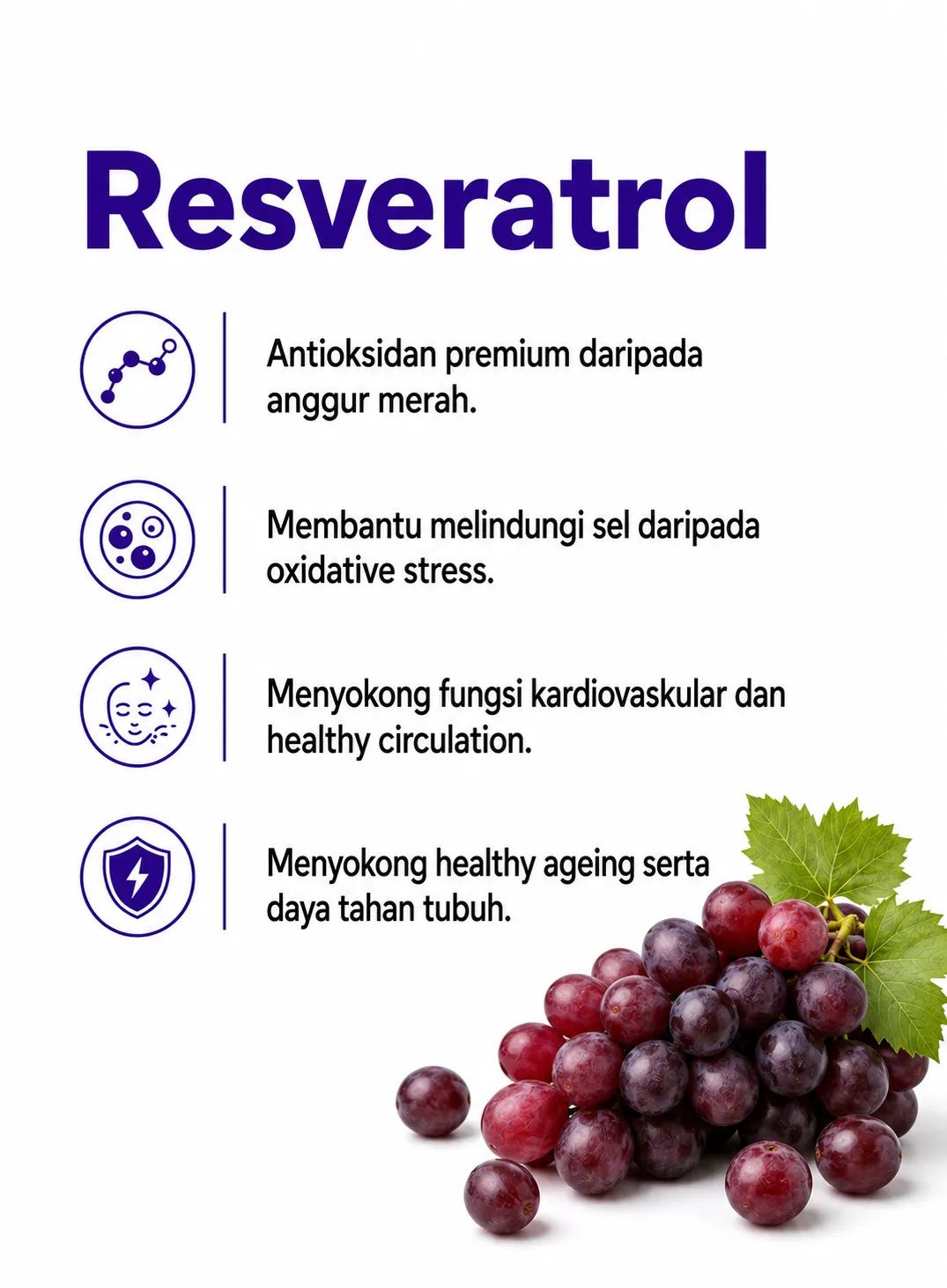 Ramuan premium SOP Dayli 5 daripada 20