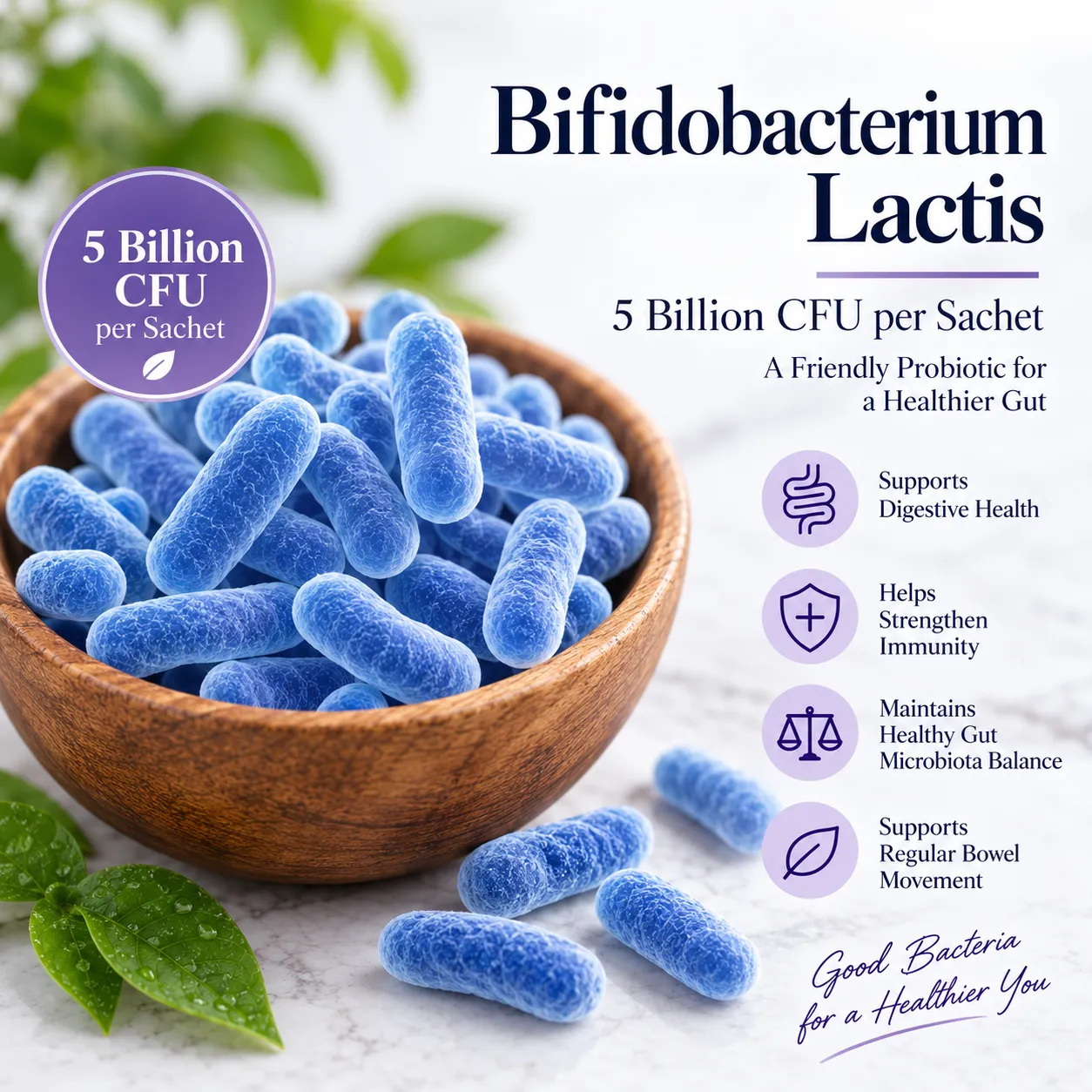 Bifidobacterium lactis